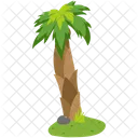 Talipot palm on the land  Icon