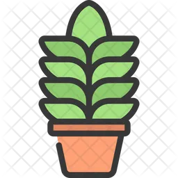 Tall Plant  Icon
