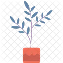 Tall Pot Plant Potted Plant Indoor Greenery Icon