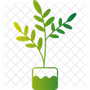 Tall Pot Plant Potted Plant Indoor Greenery Icon