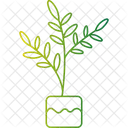 Tall Pot Plant Potted Plant Indoor Greenery Icon