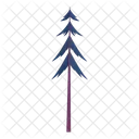 Tall slender evergreen tree  Icon