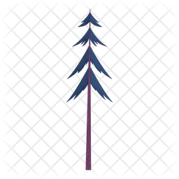 Tall slender evergreen tree  Icon