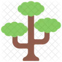 Tall Tree  Icon