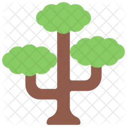 Tall Tree  Icon