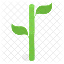Planta Tallo Hojas Icono