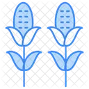 Tallos de maíz  Icono