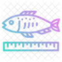 Tamanho do peixe  Ícone