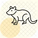 Tamarin Icon