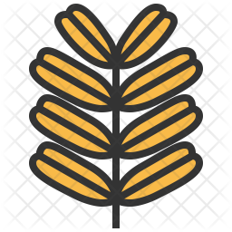 Tamarind Icon