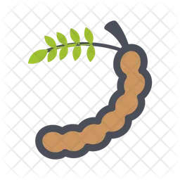 Tamarind  Icon