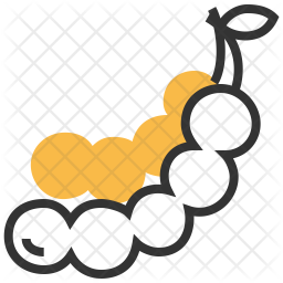 Tamarind Icon