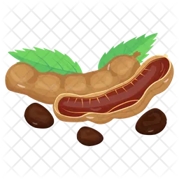 Tamarind  Icon