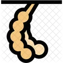 Tamarind Fruit Tropical Icon