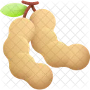 Tamarind Indian Fresh Icon