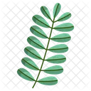 Tamarind Leaf Icon
