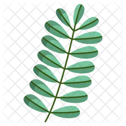Tamarind Leaf  Icon