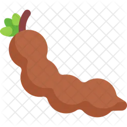 Tamarind Pod  Icon