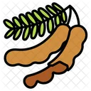 Tamarind With One Peeled Icon