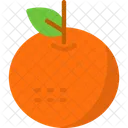 Tangerine Citrus Fruit Mandarin Orange Icon