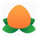 Orange Tangerine Lunar Symbol