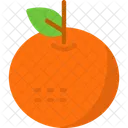 Tangerine Citrus Fruit Mandarin Orange Icono
