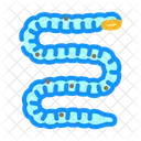 Tapeworm Parasite Worm Icon