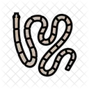 Tapeworm Parasite Worm Icon