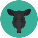 Tapir Animales Mamifero Herbivoro Icono