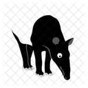 Tapir Animal Mammal Icon