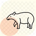 Tapir Icon