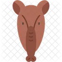 Tapir Mammal Animal Icon