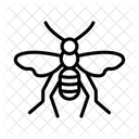 Vogelspinne Habicht Wespe Symbol