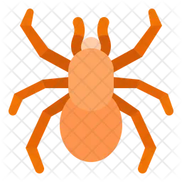 Tarantula  Icon