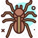 Tarantula  Icon