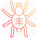 Tarantula Insect Bug Icon