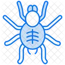 Tarantula  Icon