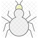 Tarantula Insect Spider Icon