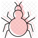 Tarantula Insect Spider Icon