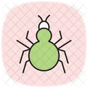 Tarantula Insect Spider Icon