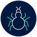 Tarantula Insect Spider Icon