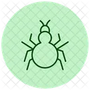 Tarantula Insect Spider Icon