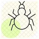 Tarantula Insect Spider Icon