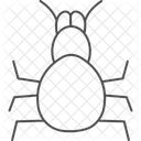 Tarantula Pet Arachnid Icon
