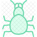 Tarantula Pet Arachnid Icon