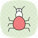 Tarantula Pet Arachnid Icon