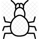 Tarantula Pet Arachnid Icon