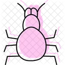 Tarantula Pet Arachnid Icon