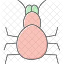 Tarantula Pet Arachnid Icon