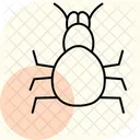 Tarantula Pet Arachnid Icon